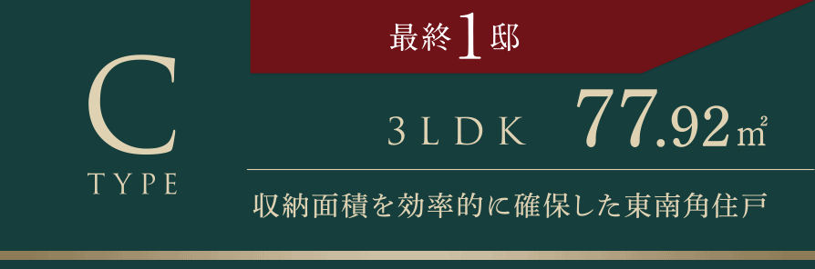 C TYPE