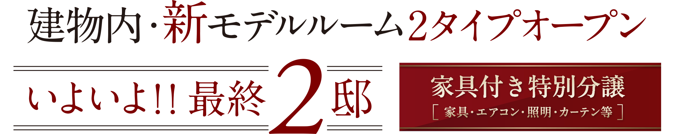 建物内・新モデルルーム2タイプオープン いよいよ！！最終2邸 家具付き特別分譲(家具・エアコン・照明・カーテン等)