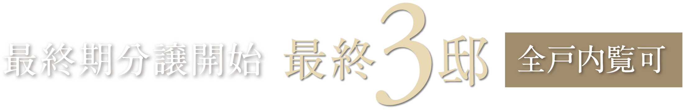 最終期分譲開始 最終3邸